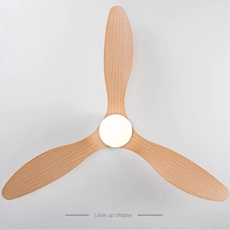 Modern Led Ceiling Fan Without Lights DC Motor 6 Speeds Timing Fans 20CM Low Floor Loft Remote Control Lux&vitae Fan With Lights