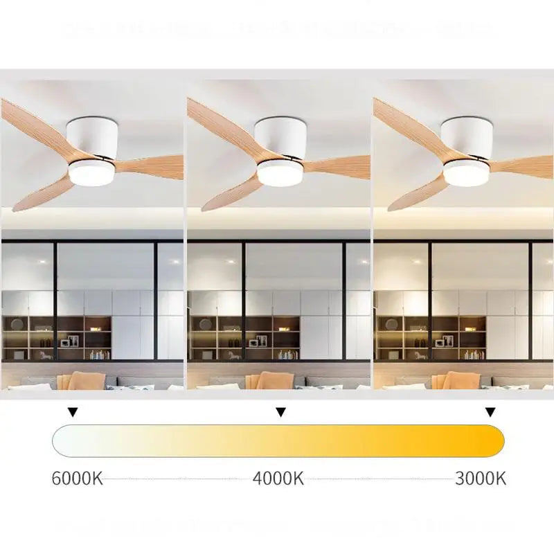 Modern Led Ceiling Fan Without Lights DC Motor 6 Speeds Timing Fans 20CM Low Floor Loft Remote Control Lux&vitae Fan With Lights